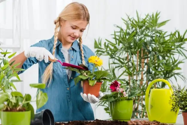 5 blogs jardinage